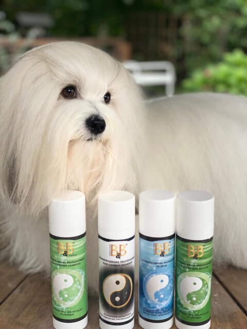 B&B Hundefrisørens Professionelle fugtgivende shampoo - Flere størrelser