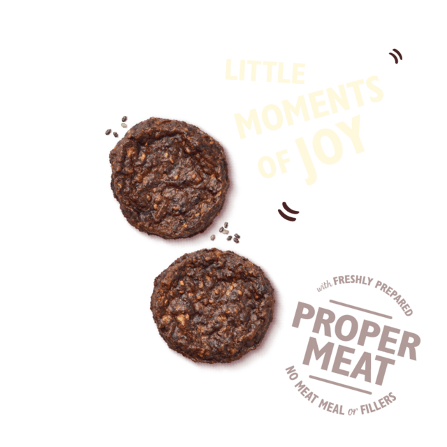 Lily's kitchen The Best Ever Beef Mini Burgers 70g