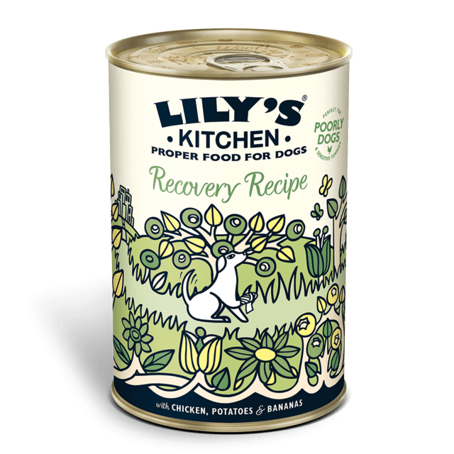 Lily's kitchen Recovery Recipe 400g (UDSOLGT)