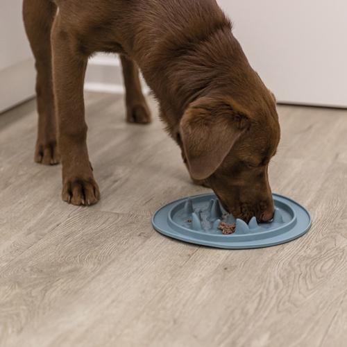 Trixie Slow Feed mat