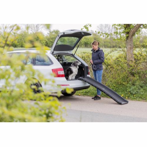 Dog ramp for car - foldable