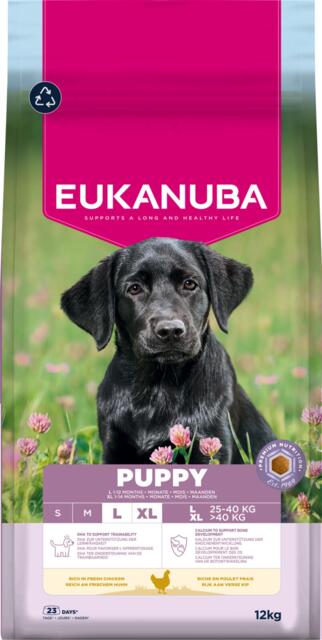 EUKANUBA Puppy Large Breed kylling 12 kg | hvalpefoder til store racer med frisk kylling