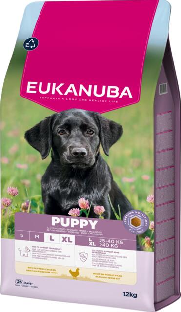 EUKANUBA Puppy Large Breed kylling 12 kg | hvalpefoder til store racer med frisk kylling