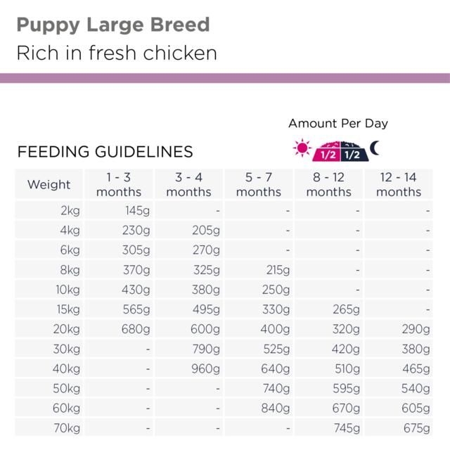 EUKANUBA Puppy Large Breed kylling 12 kg | hvalpefoder til store racer med frisk kylling