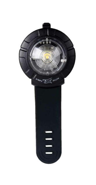 Active Canis Safety Light - Hvid
