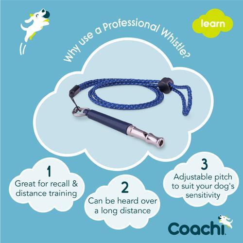 Coachi Professional dog whistle