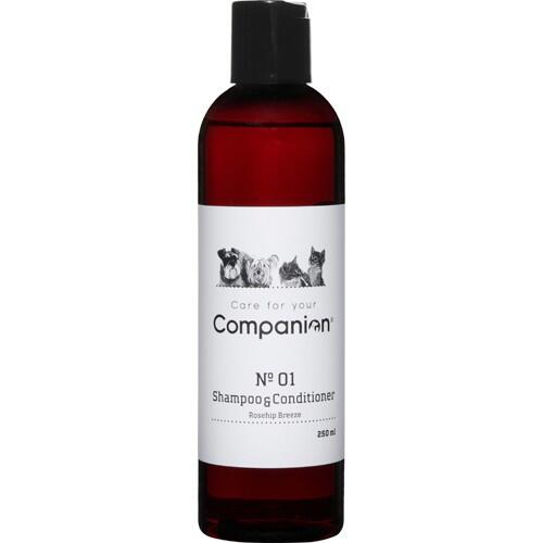 Companion 2 in 1 shampoo 250 ml