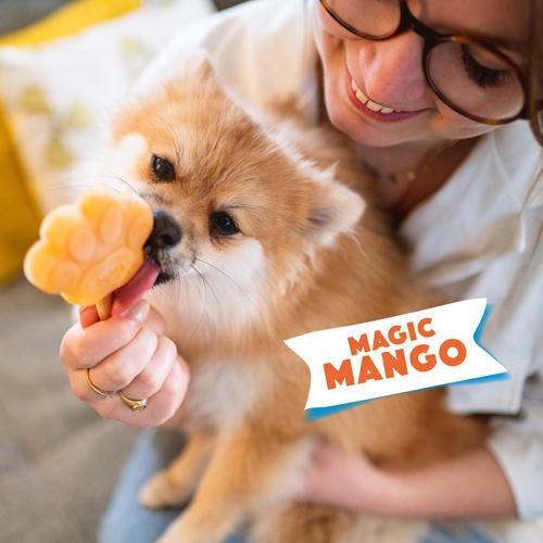 Smoofl Dog Ice Cream Mix - Mango