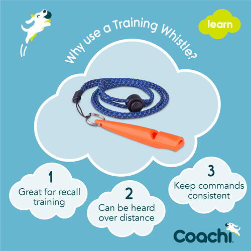 Coachi Dog Training Whistle