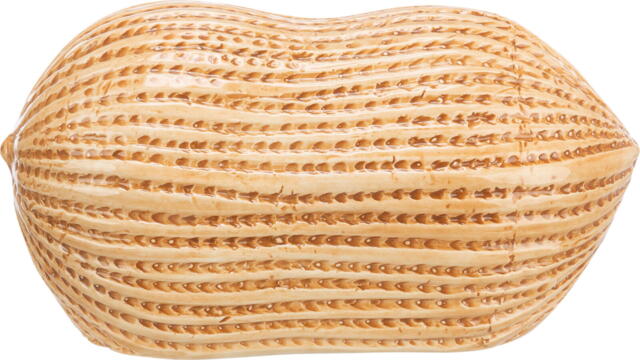 Peanut ceramic hamsterhus