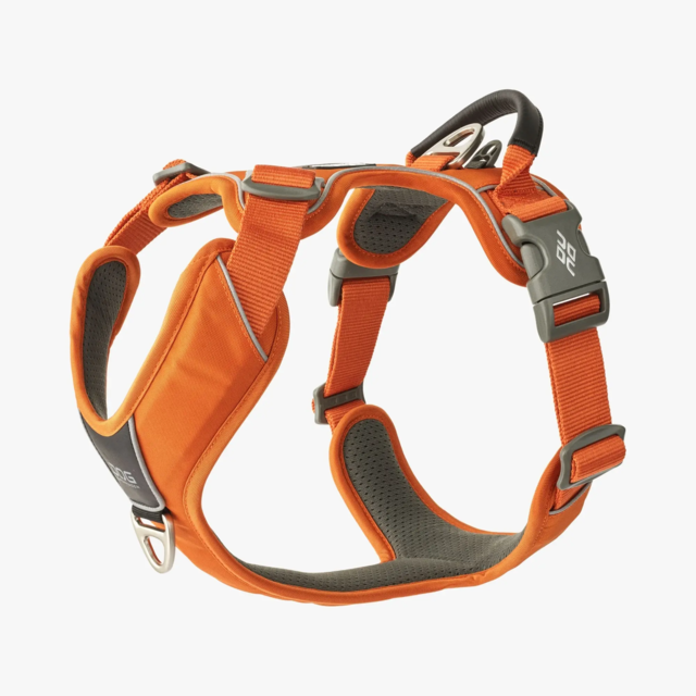 Dog Copenhagen Comfort Walk Pro Sele - Orange Sun