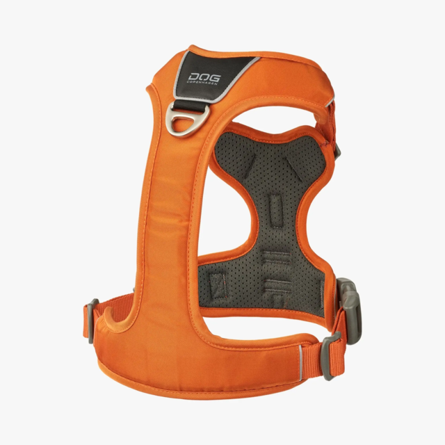 Dog Copenhagen Comfort Walk Pro Sele - Orange Sun