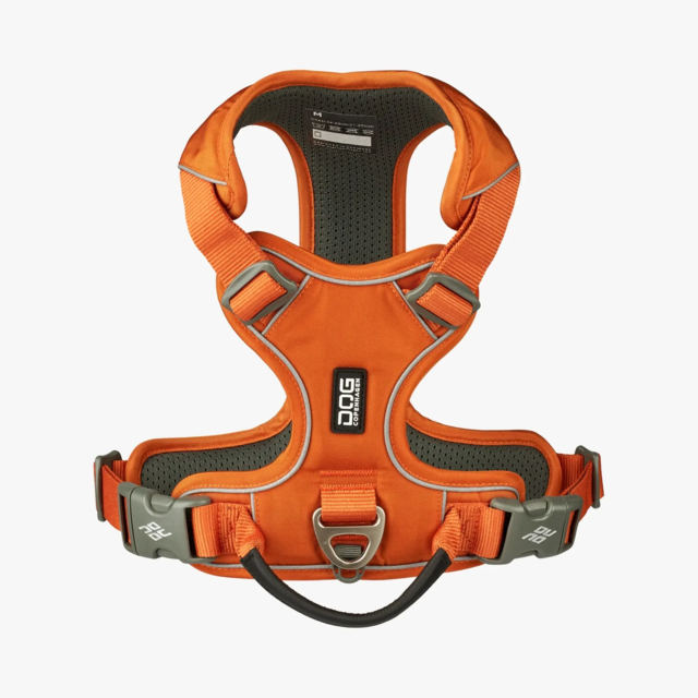 Dog Copenhagen Comfort Walk Pro Sele - Orange Sun