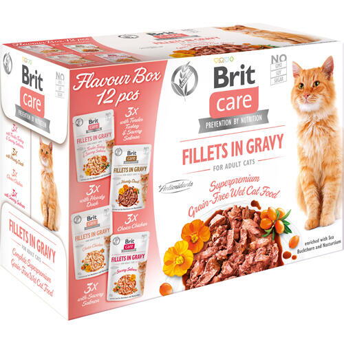 Care Cat Flavour box Fillet in Gravy - 12 poser