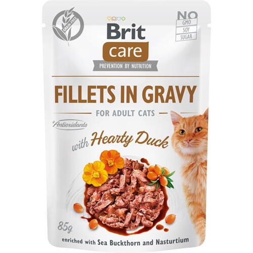 Care Cat Fillets in Gravy with Duck