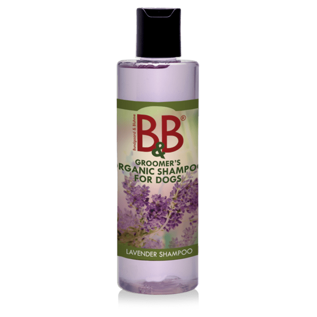 (Gave) B&B Økologiske Lavendel Shampoo 100ml