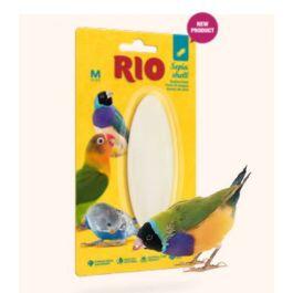 RIO Sepia shell, M