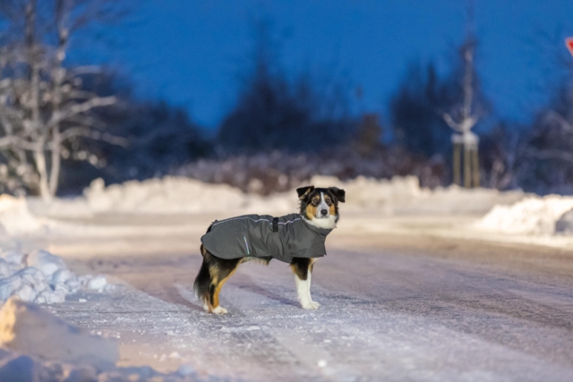 Trixie Limoux Luksus hundejakke