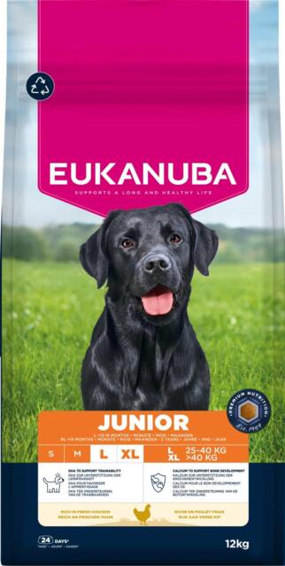 Eukanuba Junior Large Breed Kylling 12kg.