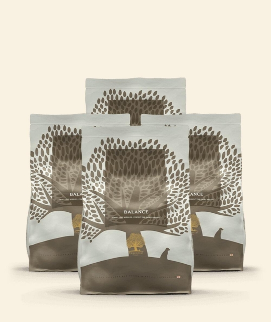 4 x 2,5 kg Small Size Essential Balance (UDSOLGT)