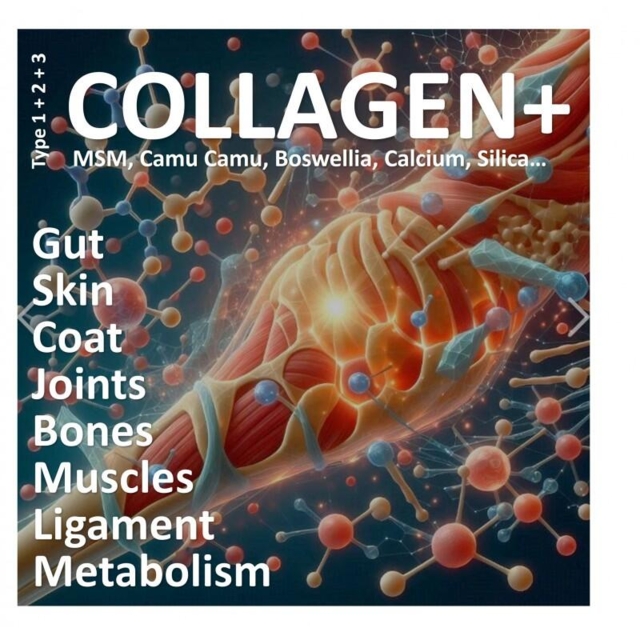 Vitapetz COLLAGEN+ 300g – Naturlig støtte til led, bindevæv og bevægelighed