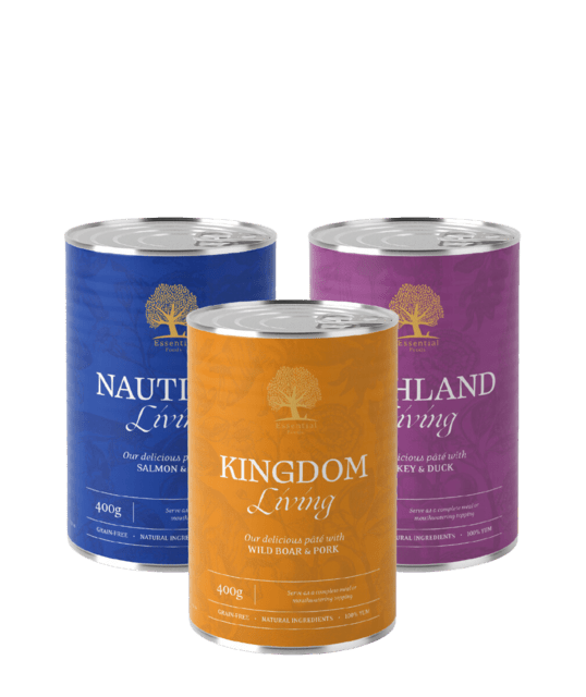 THE FEAST PÂTÉ TASTE BOX