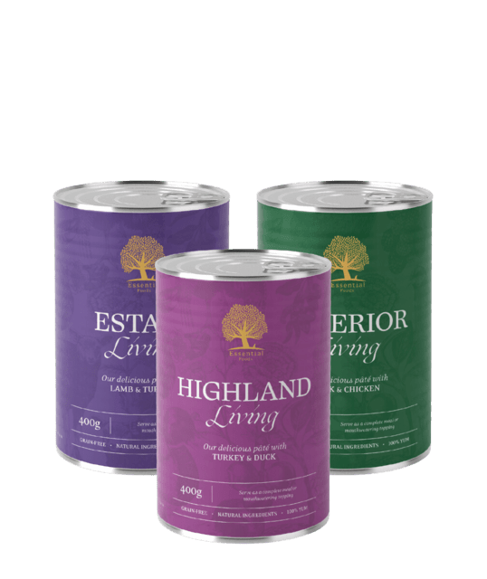 THE COUNTRYSIDE PÂTÉ TASTE BOX