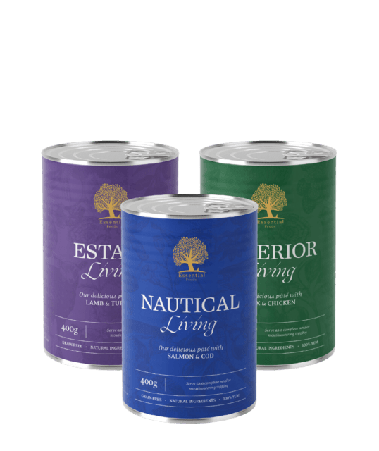 THE CLASSIC PÂTÉ TASTE BOX