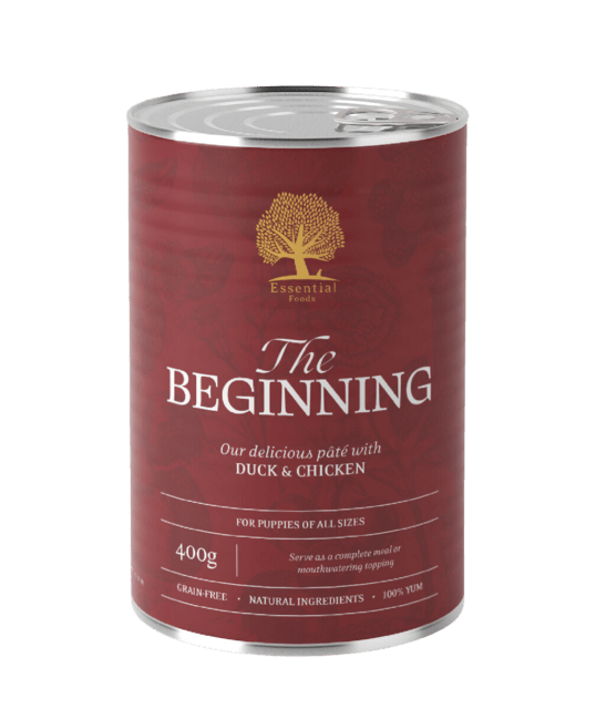ESSENTIAL the BEGINNING PÂTÉ 6 x 400G