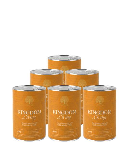 ESSENTIAL KINGDOM LIVING PÂTÉ 6 X 400G