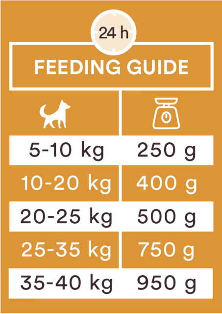 Monster Dog Sausage Duck