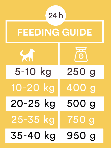 Monster Dog Sausage Chicken