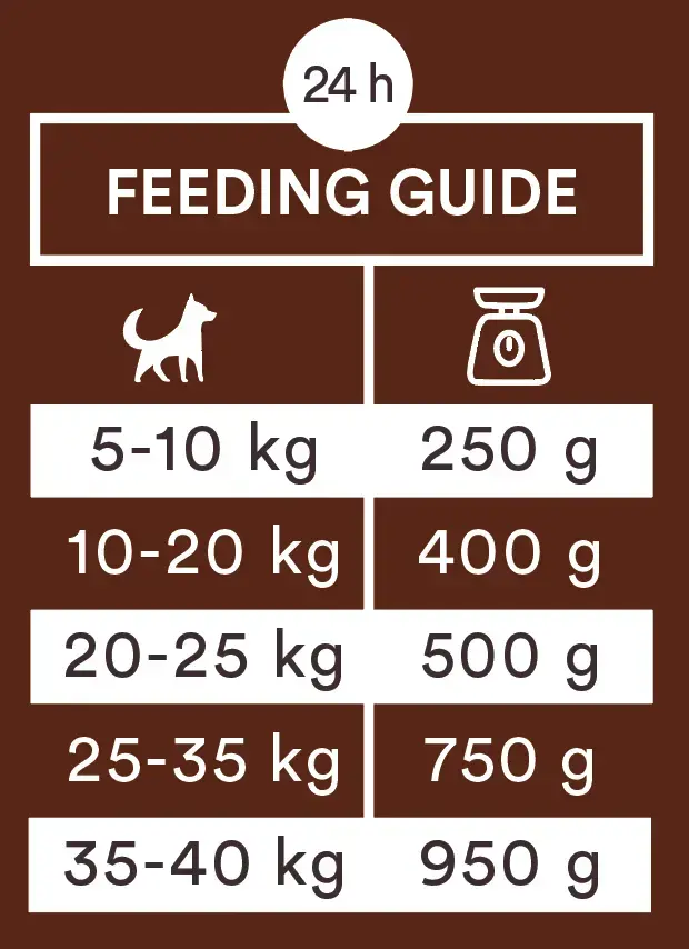 Monster Dog Sausage Horse