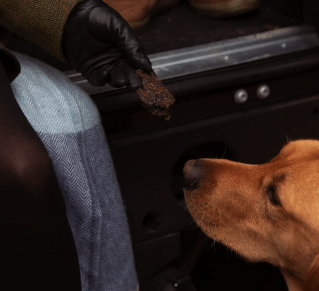 ESSENTIAL Liver Delights