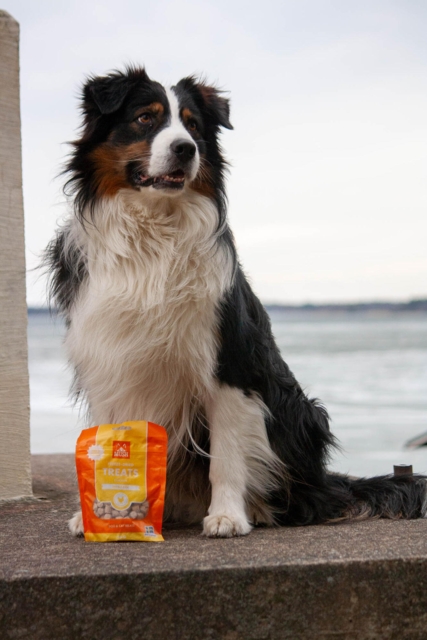 MUSH Frysetørrede Godbidder – Kylling (UDSOLGT)