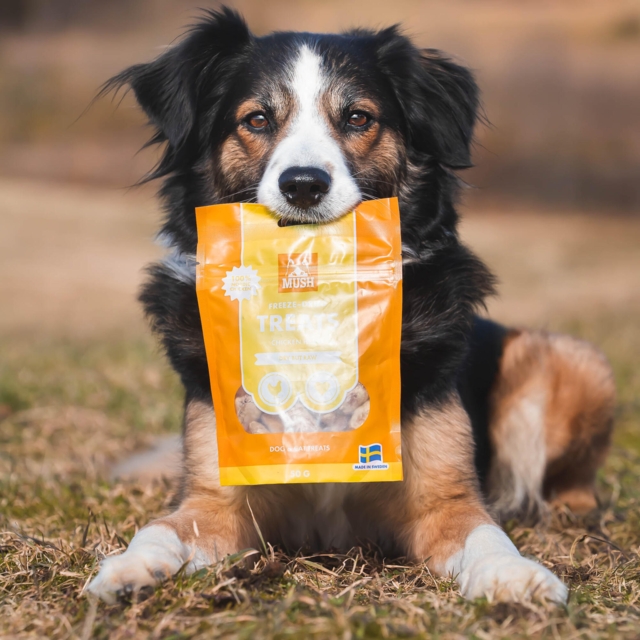 MUSH Frysetørrede Godbidder – Kyllingehjerte