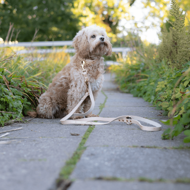 Walk'it Dressurline (justerbar) Kernelæder/Rosegold