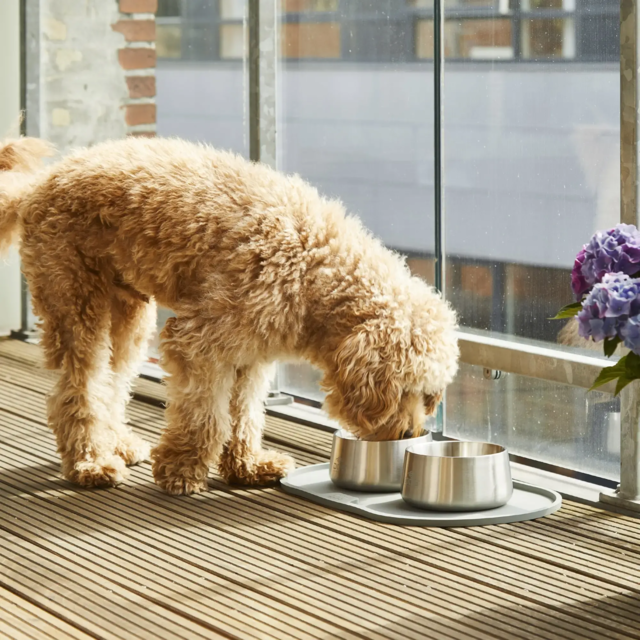 Dog Copenhagen Vega Skål - Petrol Blue