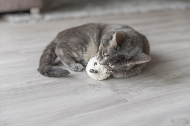 Trixie Bjørn med Katteurt – 8 cm