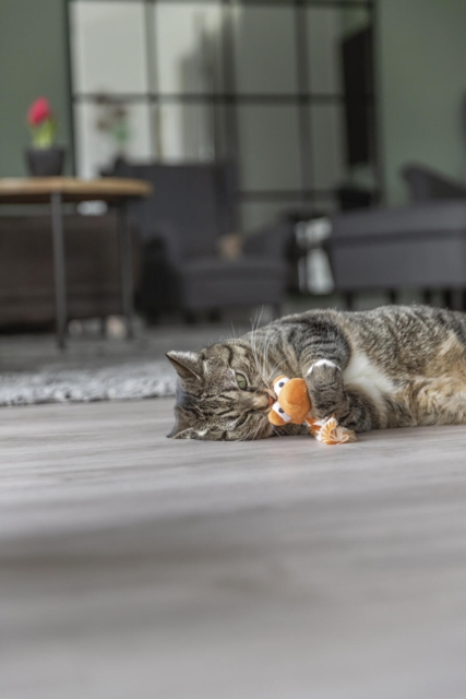 Trixie Drage med katteurt