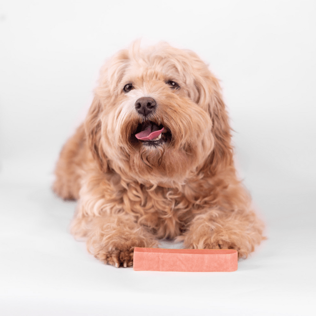 Tyggeben af yakost med jordbær – lang tyggetid til hunde (70–75 g, størrelse M)