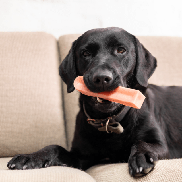 Tyggeben af yakost med jordbær – lang tyggetid til hunde (140–160 g, størrelse XL)