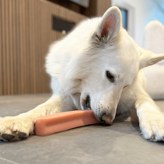 Tyggeben af yakost med jordbær – lang tyggetid til hunde (230–260 g, størrelse GIGANT)
