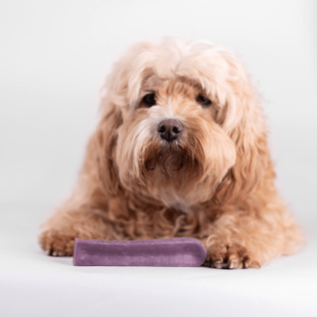 Tyggeben af yakost med blåbær – lang tyggetid til hunde (70–75 g, størrelse M)