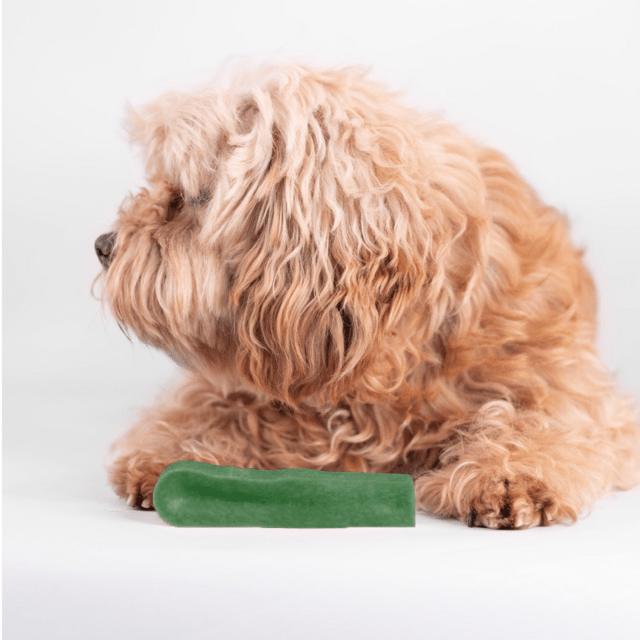 Tyggeben af yakost med mint – lang tyggetid til hunde (70–75 g, størrelse M)