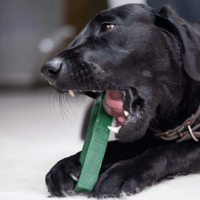 Tyggeben af yakost med mint – lang tyggetid til hunde (140–160 g, størrelse XL)