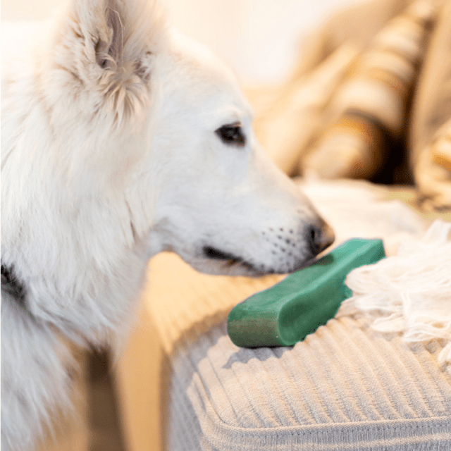 Tyggeben af yakost med mint – lang tyggetid til hunde (230–260 g, størrelse GIGANT)