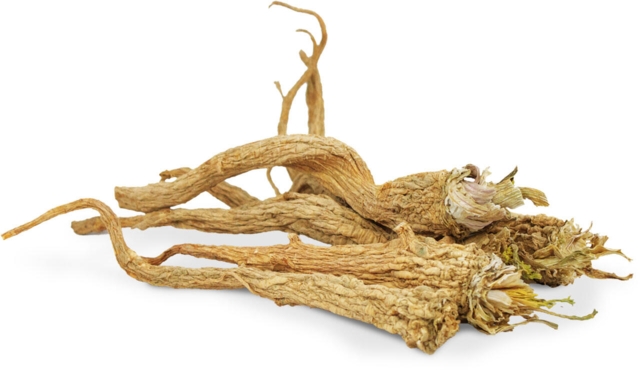 JR Farm Persillerødder