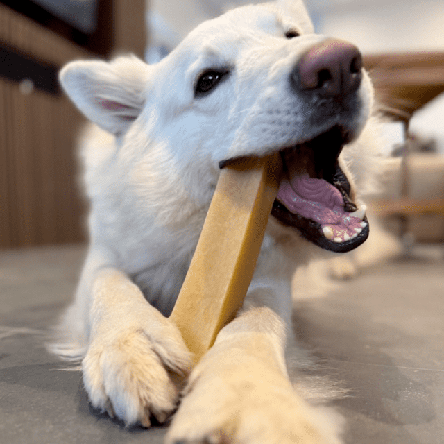 Yaki Peanutbutter GIGANT 230–260 g vegetarisk tyggeben med peanut til hund