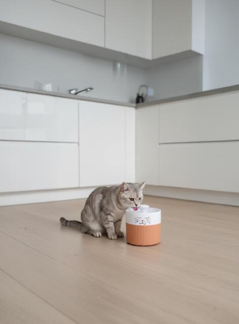 Flamingo Drikkefontæne Mali 2L hvid lydsvag vandfontæne til hund og kat